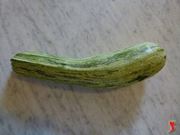 zucchine