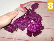 Il radicchio