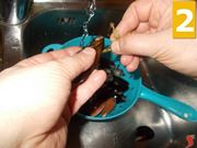 Lavorate le cozze e le vongole
