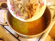 funghi