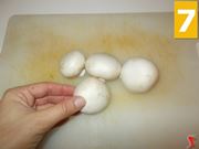 I funghi champignon