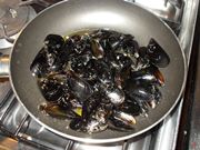 cozze 