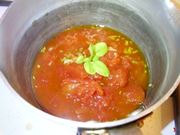 sugo