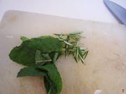 menta e rosmarino