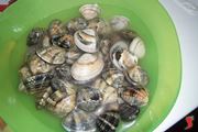 vongole