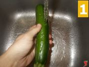 La zucchina