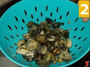 Le vongole