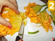 I fiori di zucca