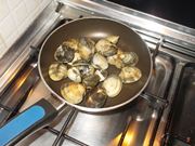 vongole