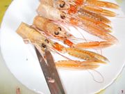 scampi