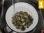 vongole