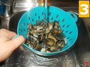 vongole