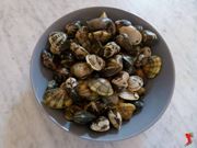 vongole