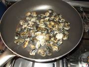 vongole