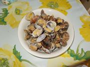 vongole