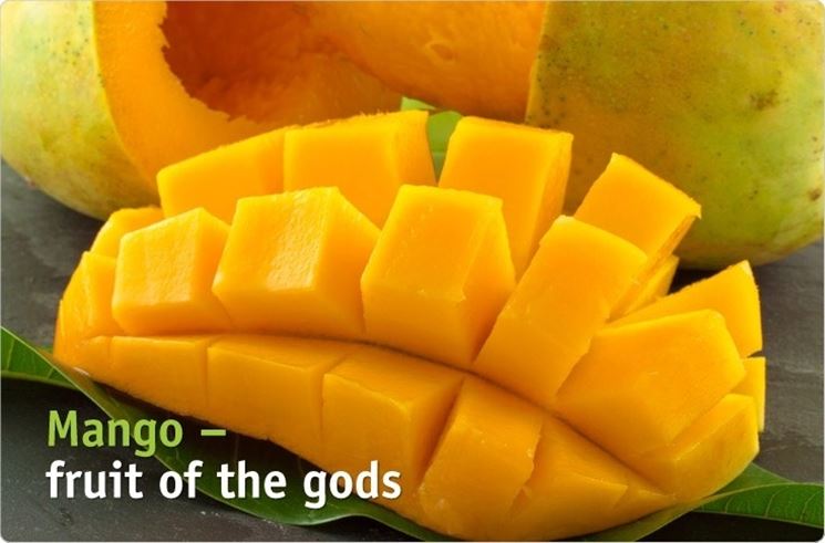 mango