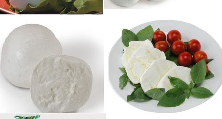 MOZZARELLA DI BUFALA