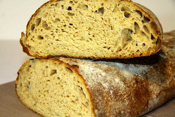 Pane di grano duro