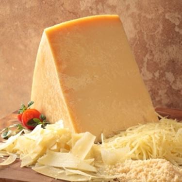 parmigiano