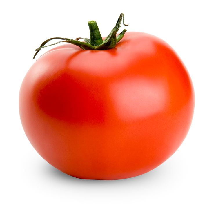 Il pomodoro