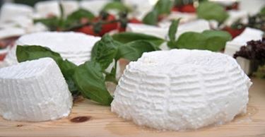 Ricotta di pecora