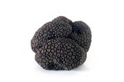 TARTUFO NERO