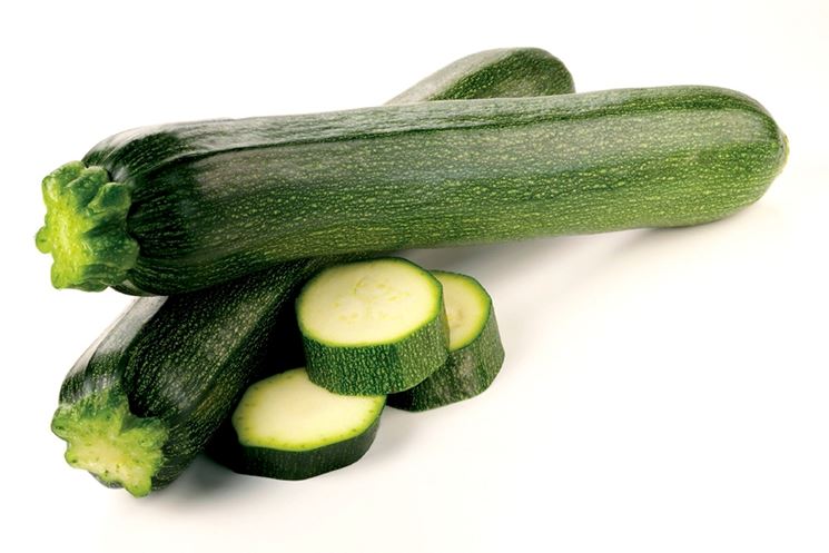 zucchine