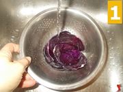 radicchio