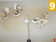 I funghi