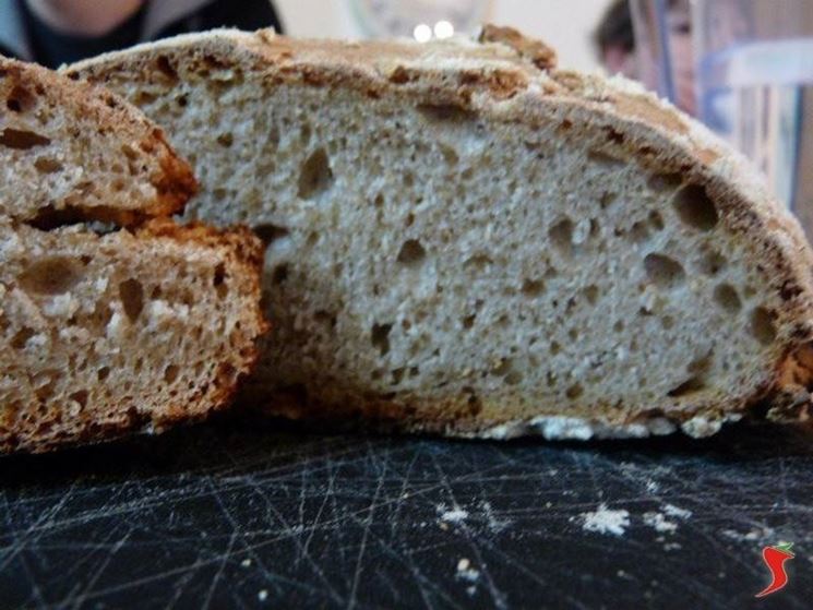 pane di farro