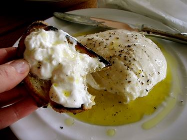 burrata