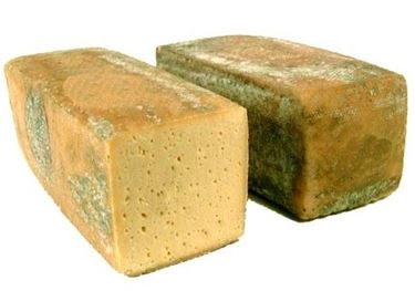 Il formaggio Dobbiaco