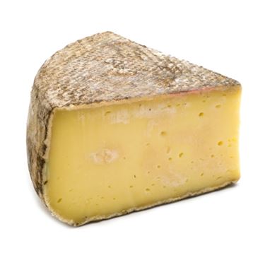 fontina