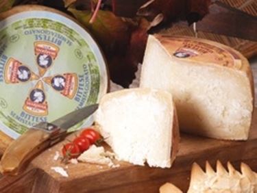 Pecorino sardo