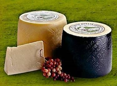 pecorino romano