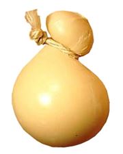 Scamorza