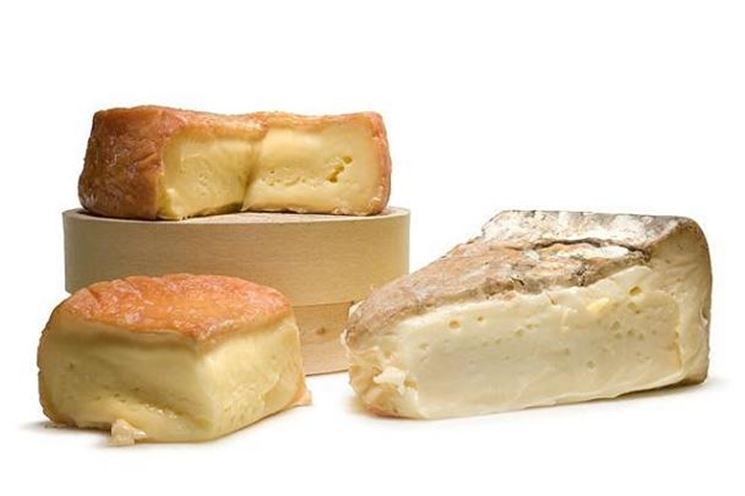 taleggio