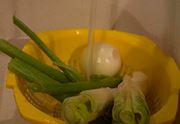 lavare la verdura