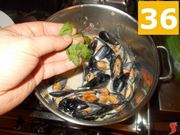 Cozze in bianco