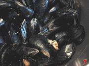 cozze in cottura