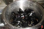 cozze 