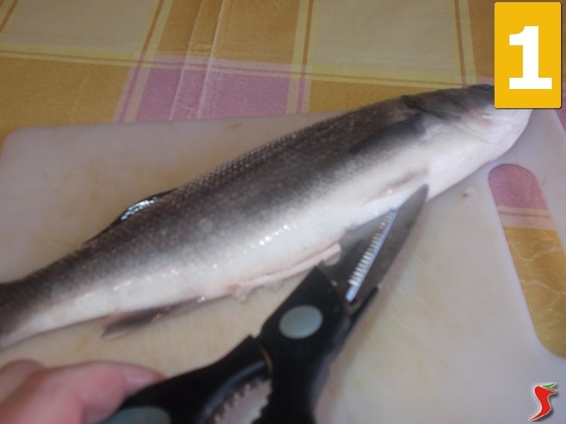 Branzino Ai Ferri Pesci Di Mare Branzino Ai Ferri Ricetta