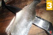 Pulire il pesce 