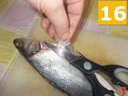 Sfilettate il branzino