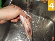 Lavare il pesce