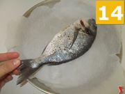 Preparate il pesce