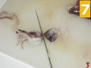 Calamari al sugo