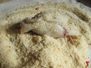 calamari nel pan grattato
