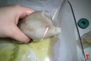 riempire i calamari
