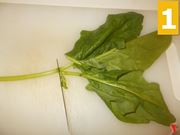 spinaci